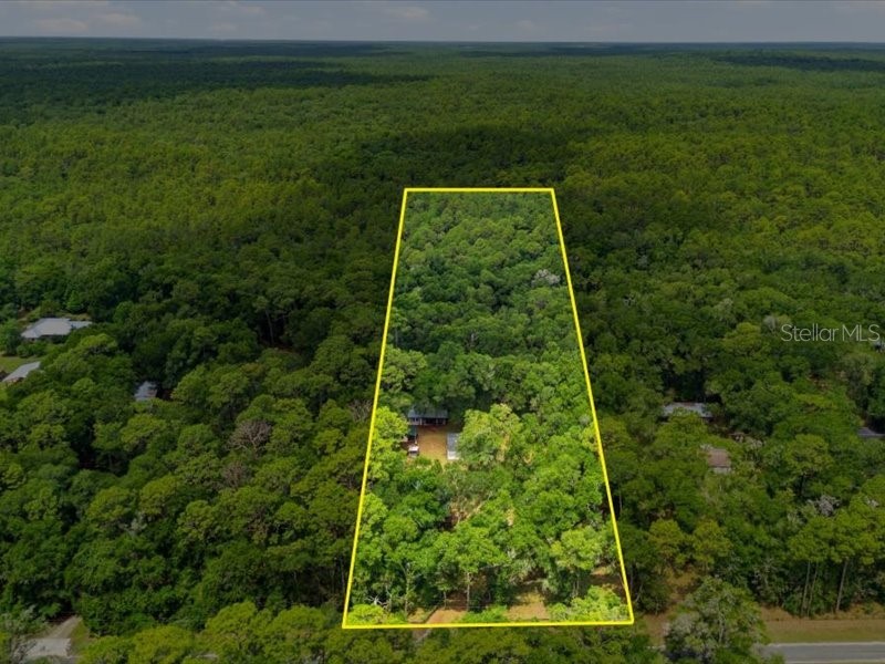 9986 S Forestline Avenue Inverness FL 34452 O6405223 image26