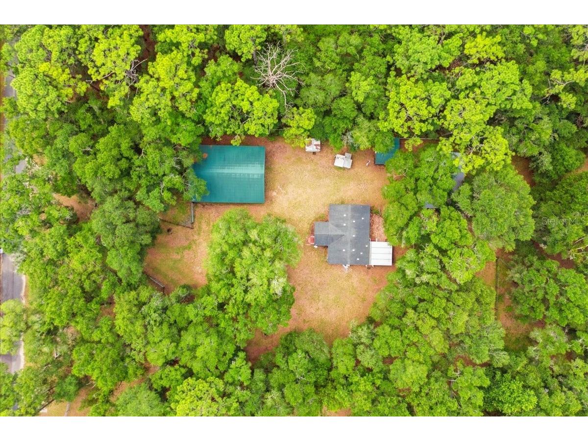 9986 S Forestline Avenue Inverness FL 34452 O6405223 image27