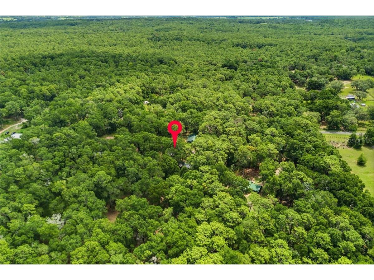 9986 S Forestline Avenue Inverness FL 34452 O6405223 image28