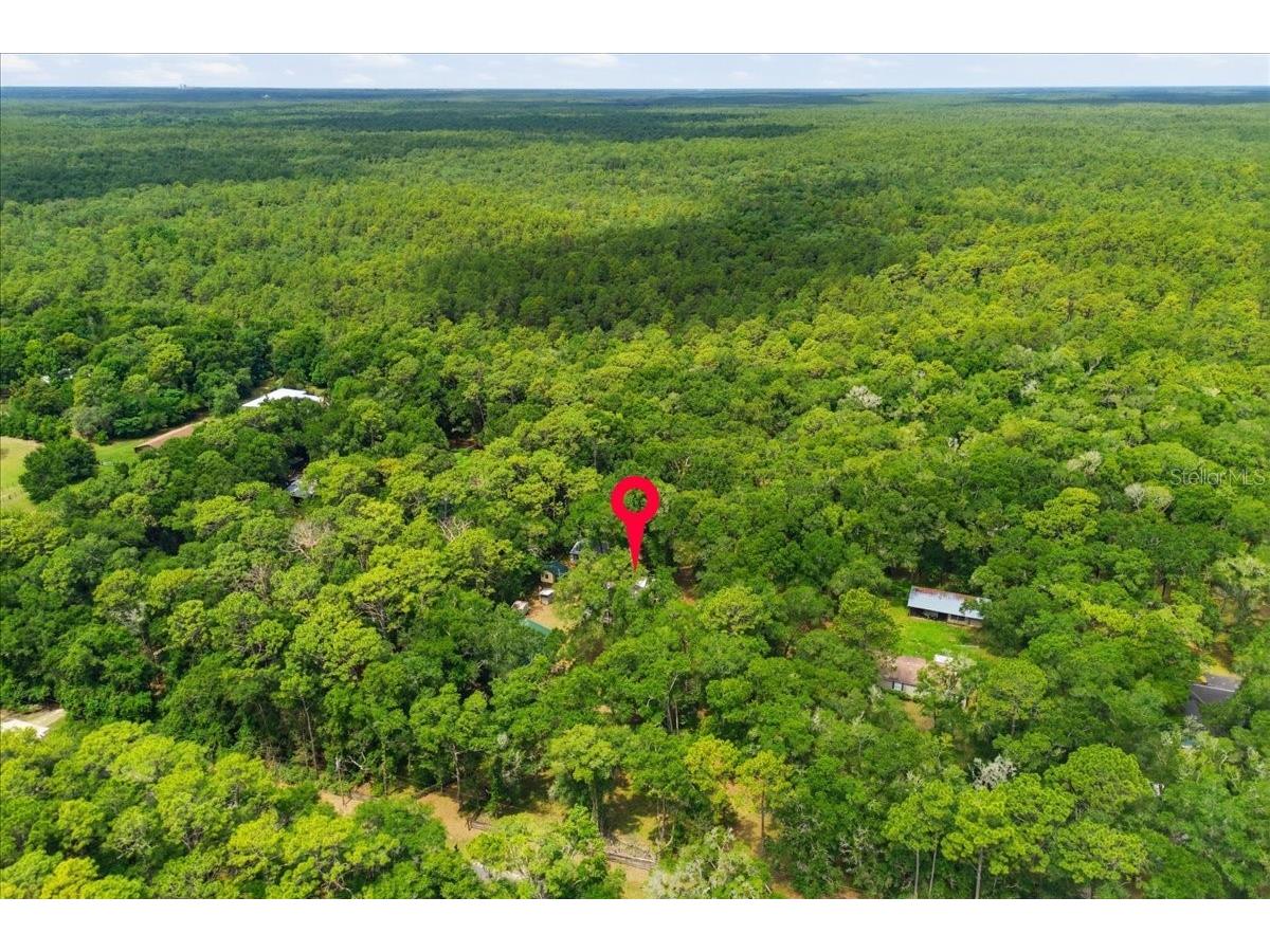9986 S Forestline Avenue Inverness FL 34452 O6405223 image29