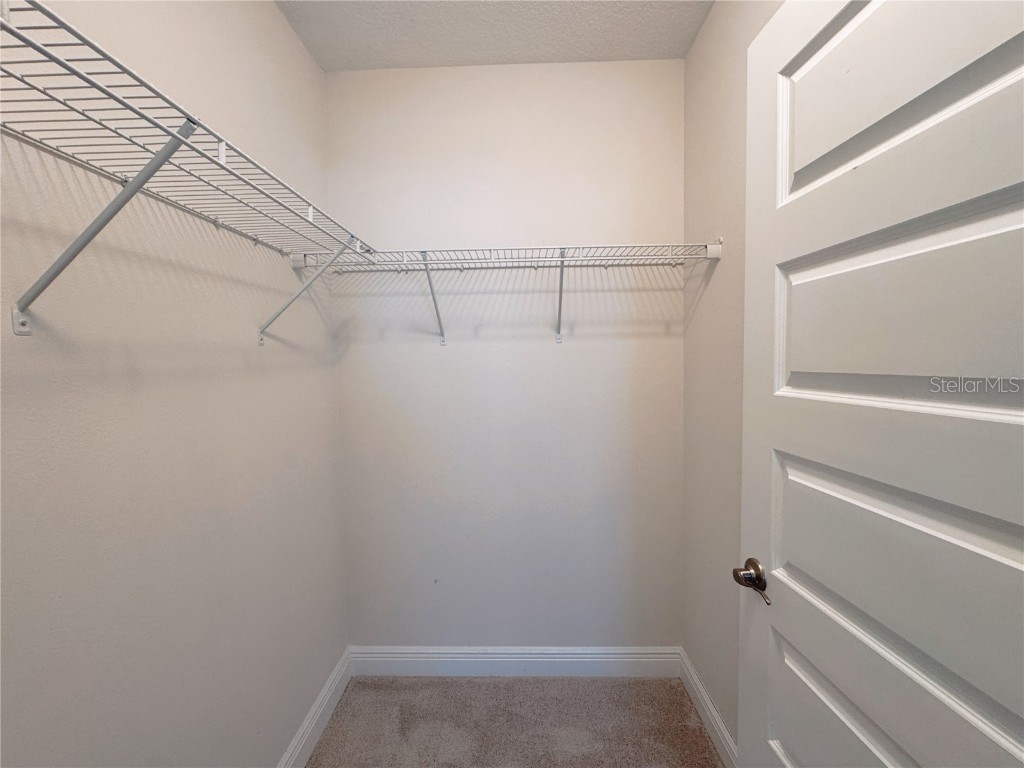 9988 Beach Port Drive Winter Garden FL 34787 O6353604 image46