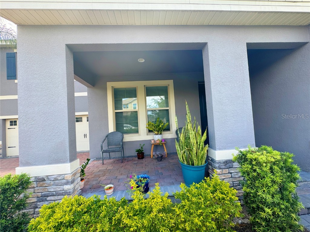 9988 Beach Port Drive Winter Garden FL 34787 O6353604 image6