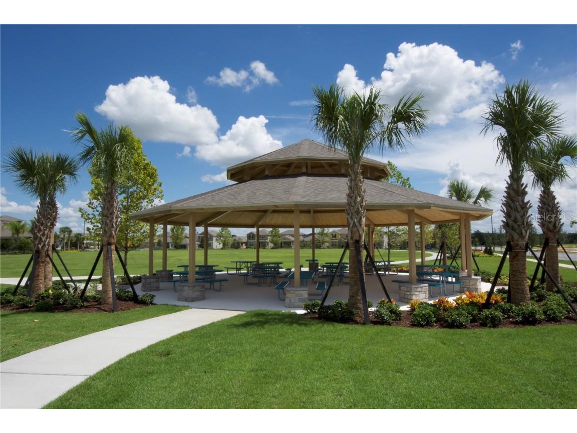 9988 Beach Port Drive Winter Garden FL 34787 O6353604 image99