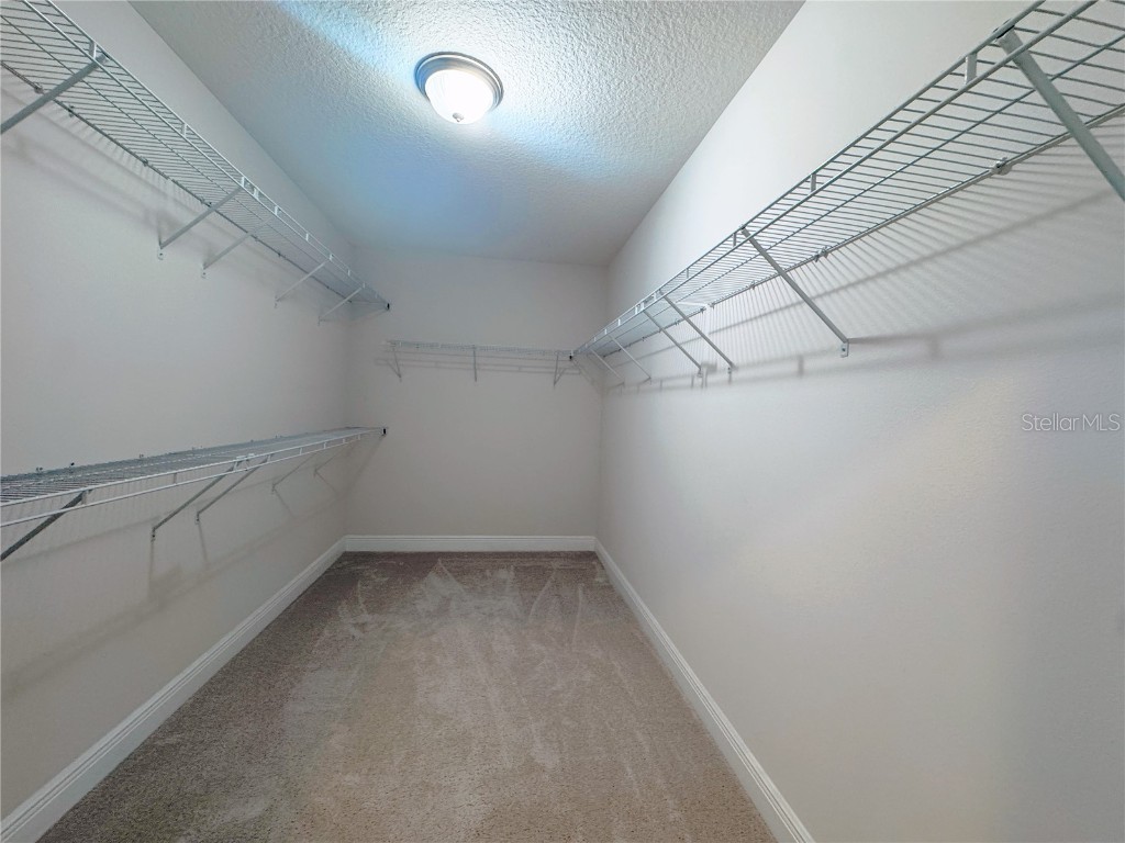 9988 Beach Port Drive Winter Garden FL 34787 O6365875 image59