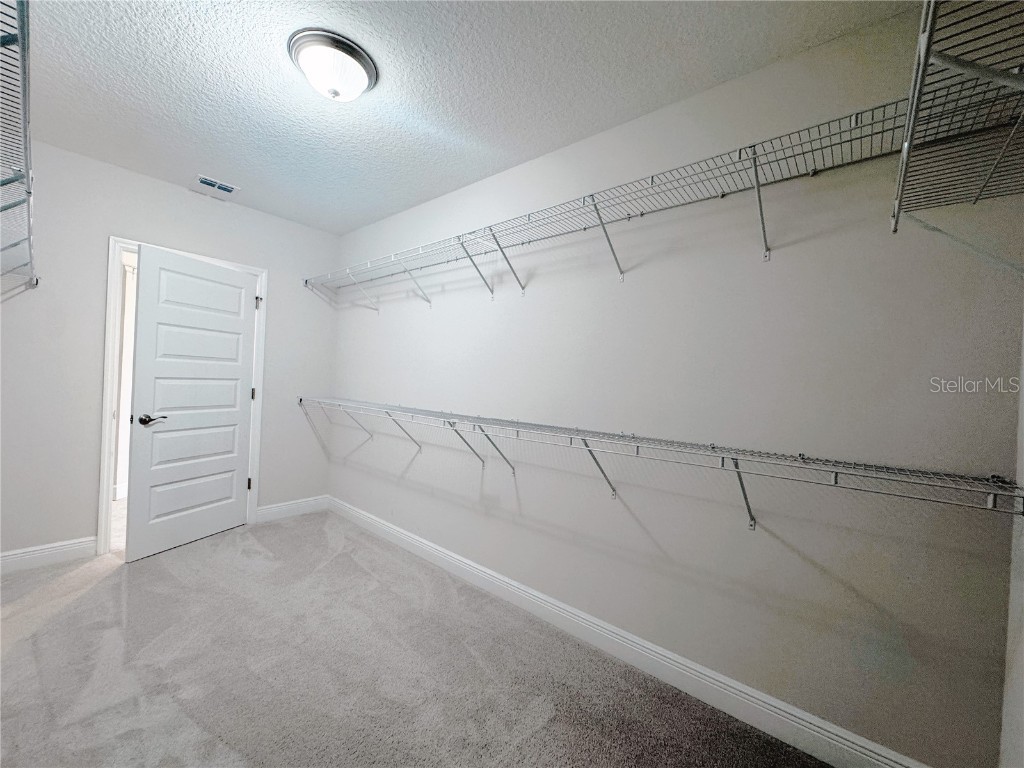 9988 Beach Port Drive Winter Garden FL 34787 O6365875 image60