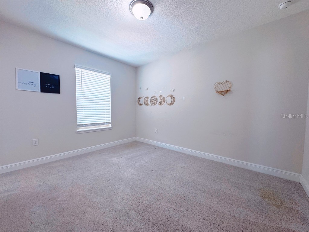 9988 Beach Port Drive Winter Garden FL 34787 O6365875 image76