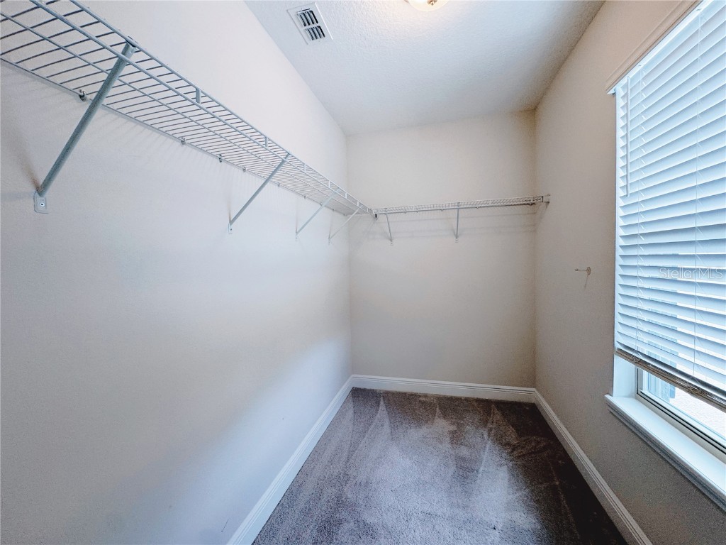 9988 Beach Port Drive Winter Garden FL 34787 O6365875 image79