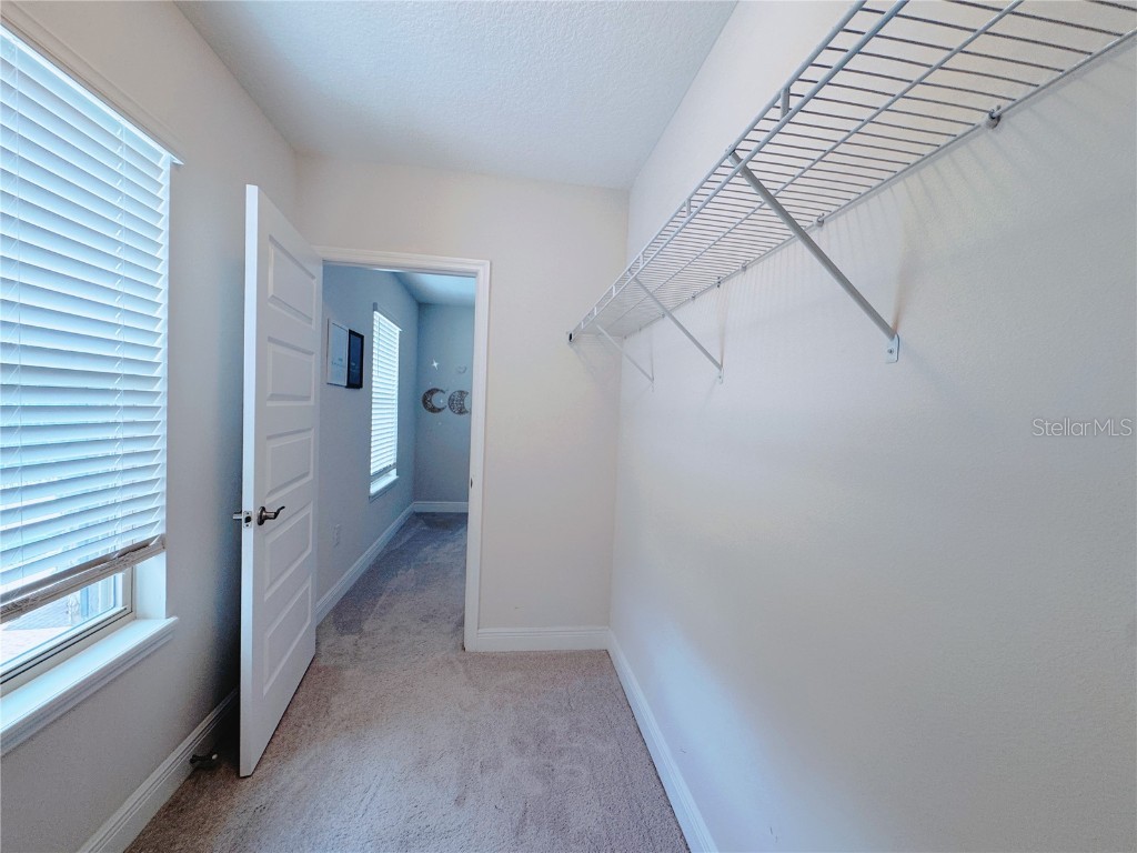 9988 Beach Port Drive Winter Garden FL 34787 O6365875 image80