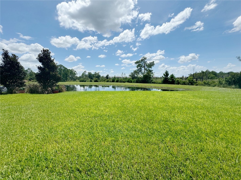 9988 Beach Port Drive Winter Garden FL 34787 O6365875 image84