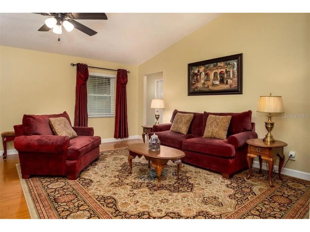 999 Gillespie Drive Palm Harbor FL 34684 TB8492306 image11