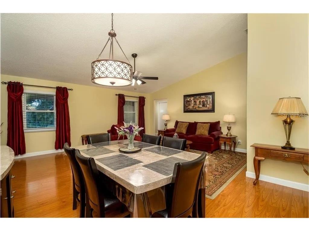999 Gillespie Drive Palm Harbor FL 34684 TB8492306 image14