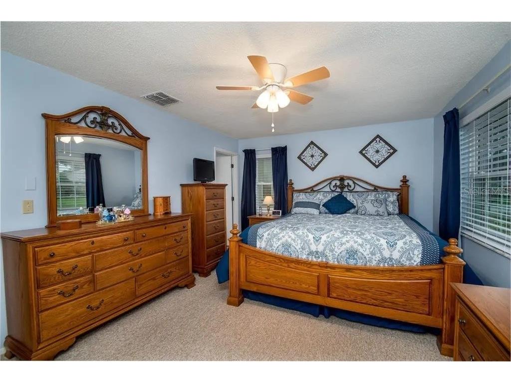 999 Gillespie Drive Palm Harbor FL 34684 TB8492306 image17