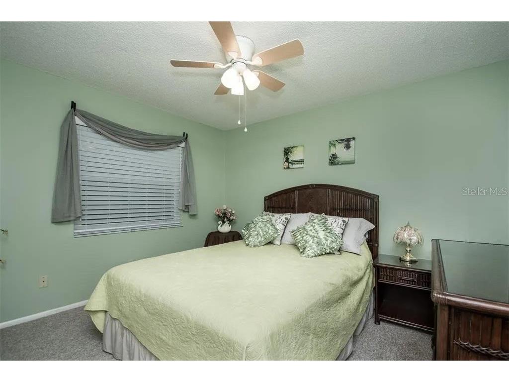 999 Gillespie Drive Palm Harbor FL 34684 TB8492306 image19