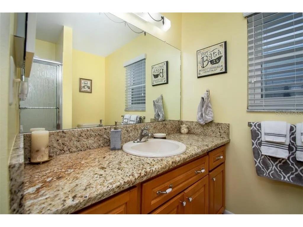 999 Gillespie Drive Palm Harbor FL 34684 TB8492306 image21