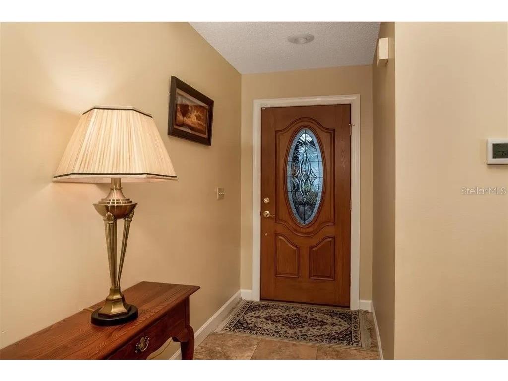 999 Gillespie Drive Palm Harbor FL 34684 TB8492306 image6