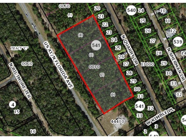 9991 N Florida Avenue Citrus Springs FL 34434 OM713106 image1