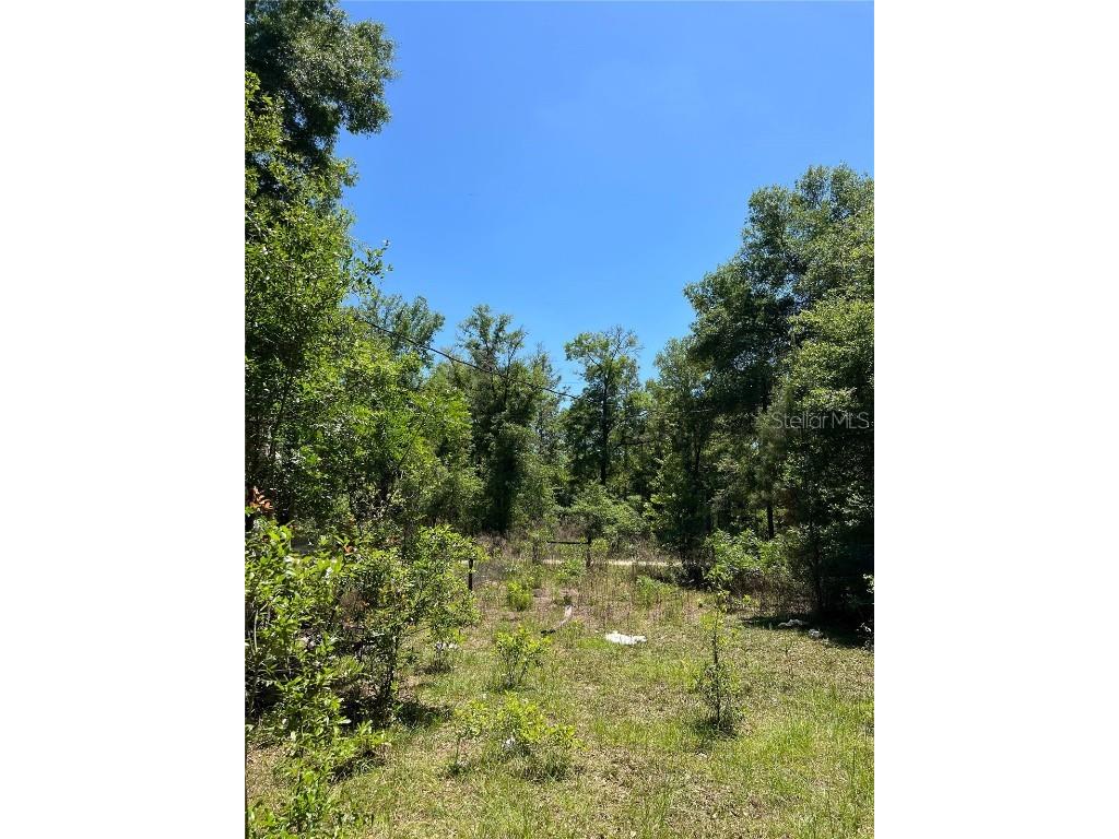 9991 NE 82nd Place Bronson FL 32621 GC512841 image1