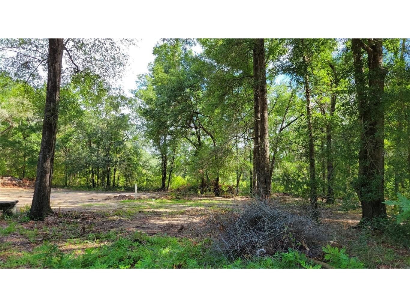 9991 NE 82nd Place Bronson FL 32621 OM661090 image1