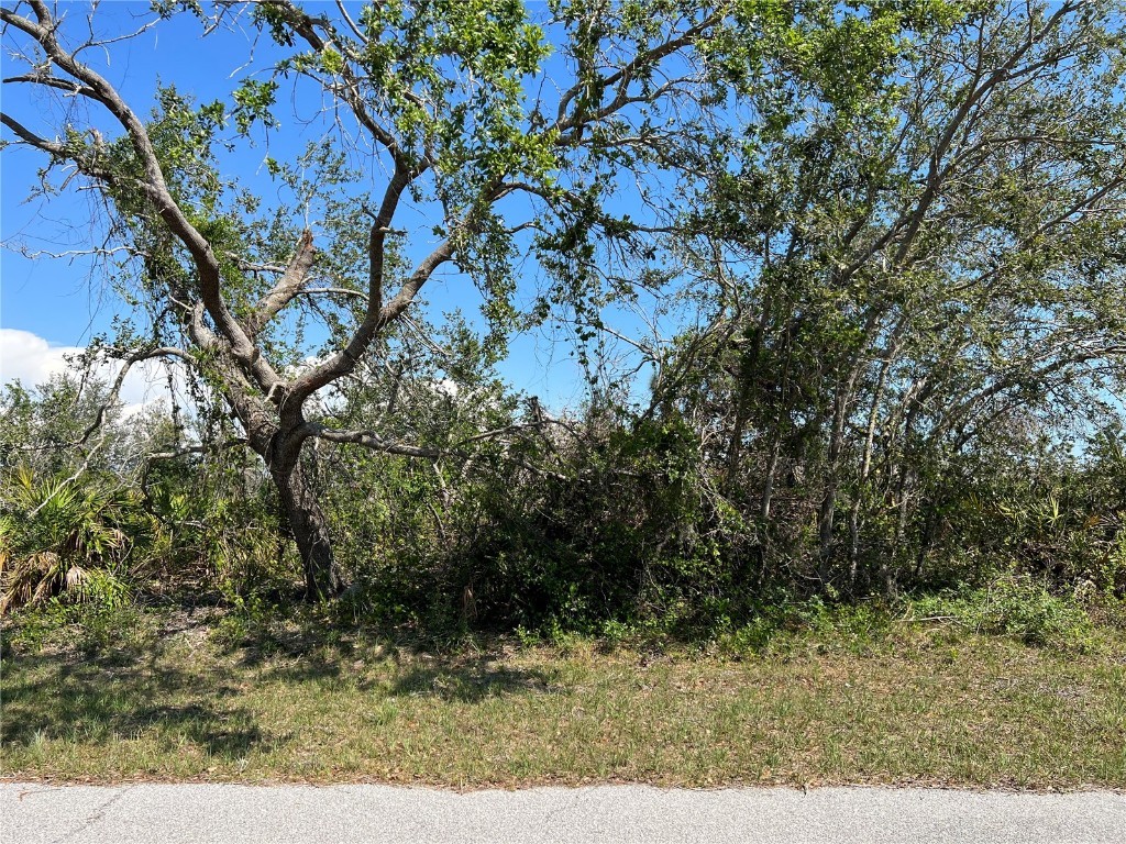 9992 Antler Street Port Charlotte FL 33981 C7474315 image1
