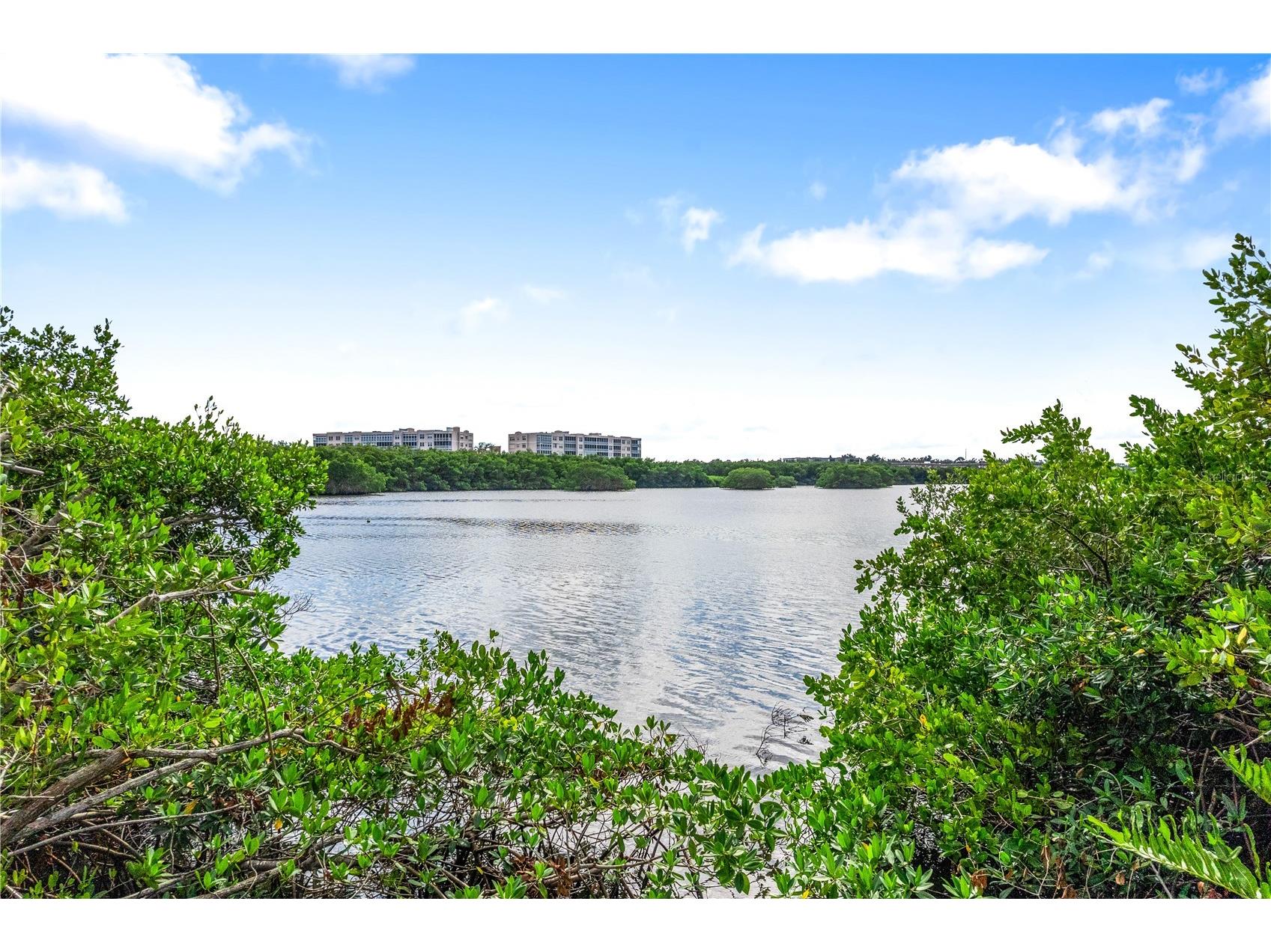 9992 Key Haven Road Seminole FL 33777 - LONG BAYOU A4657357 image43