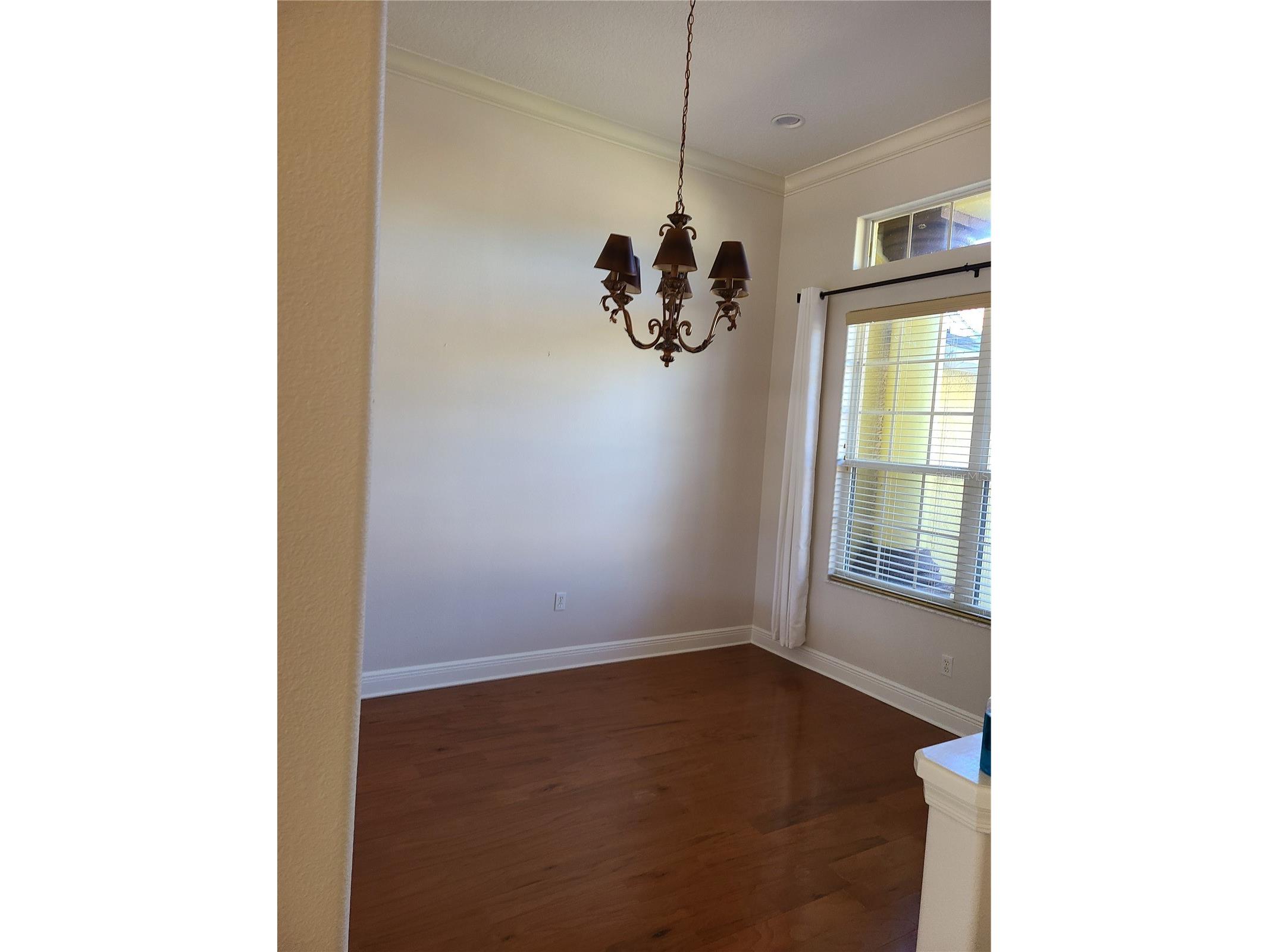 9996 Cherry Hills Avenue Circle Bradenton FL 34202 A4683792 image32