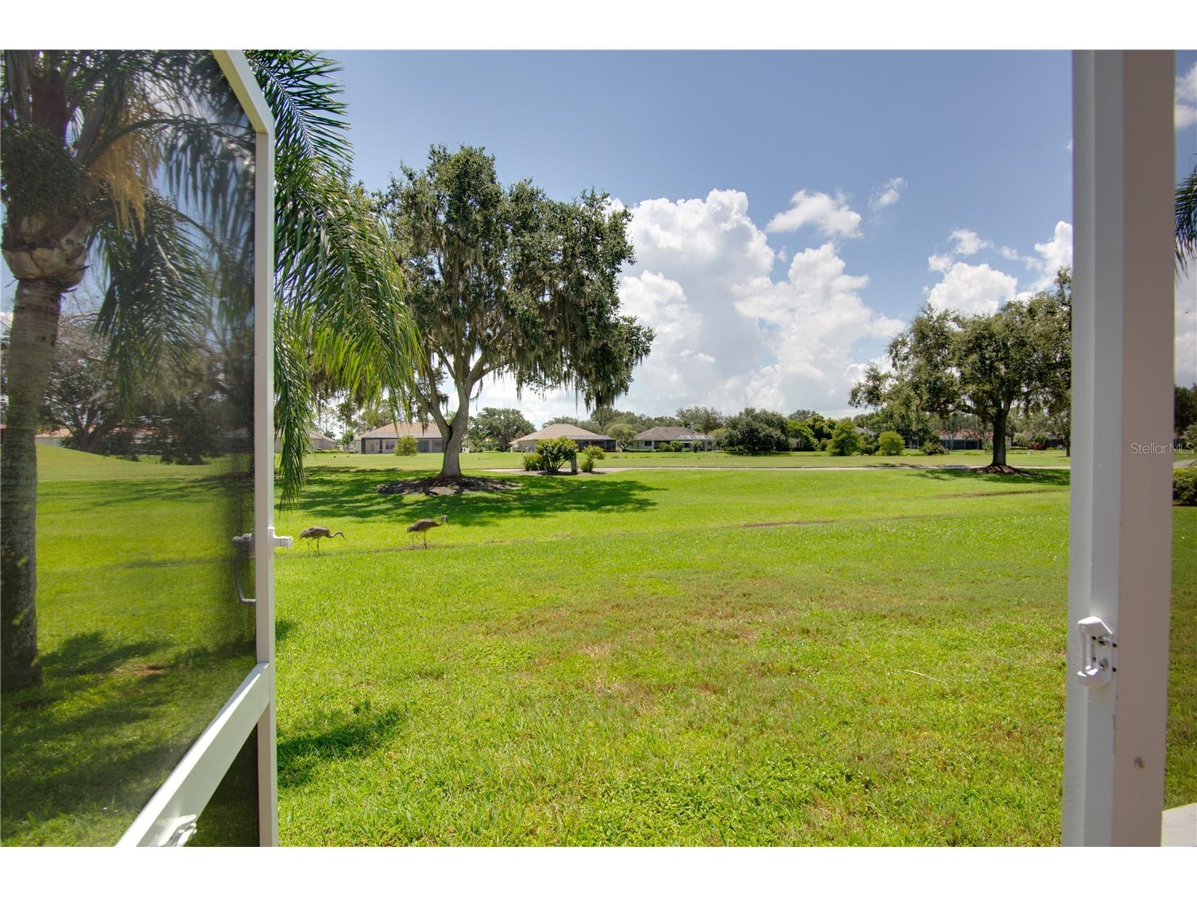 9996 Cherry Hills Avenue Circle Bradenton FL 34202 A4683792 image8