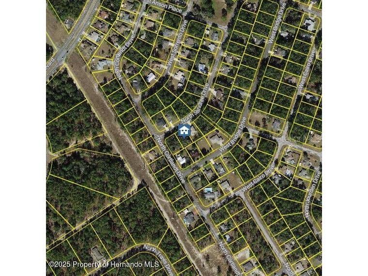 9996 N Sandree Drive Citrus Springs FL 34434 W7878971 image2