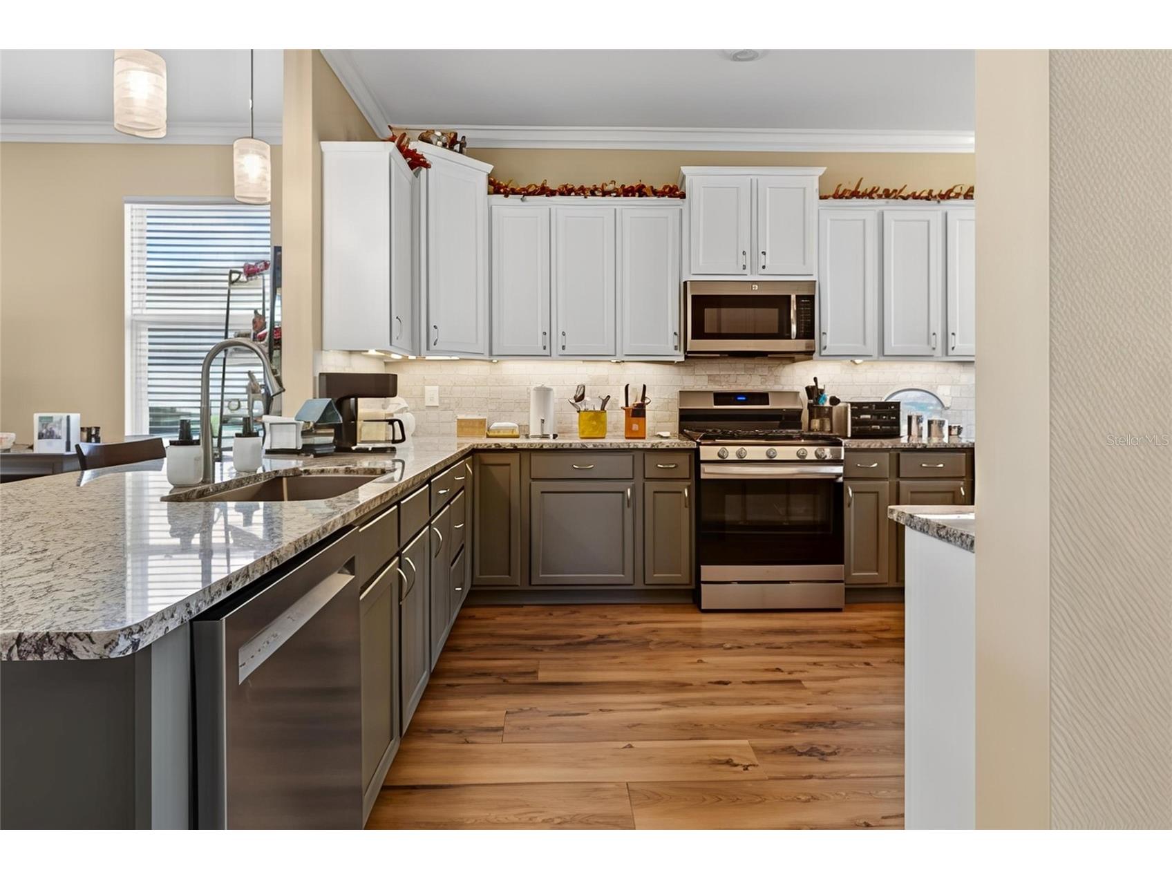 9996 SW 88th Loop Ocala FL 34481 OM721993 image6