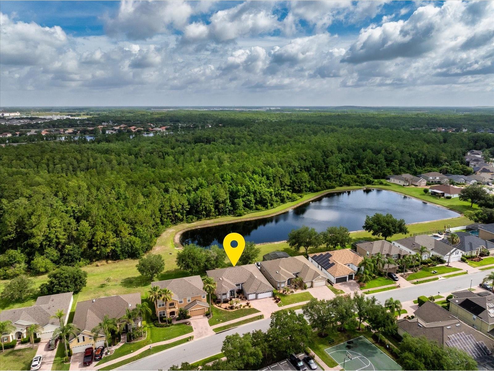 9997 Chardonnay Drive Orlando FL 32832 O6412864 image5