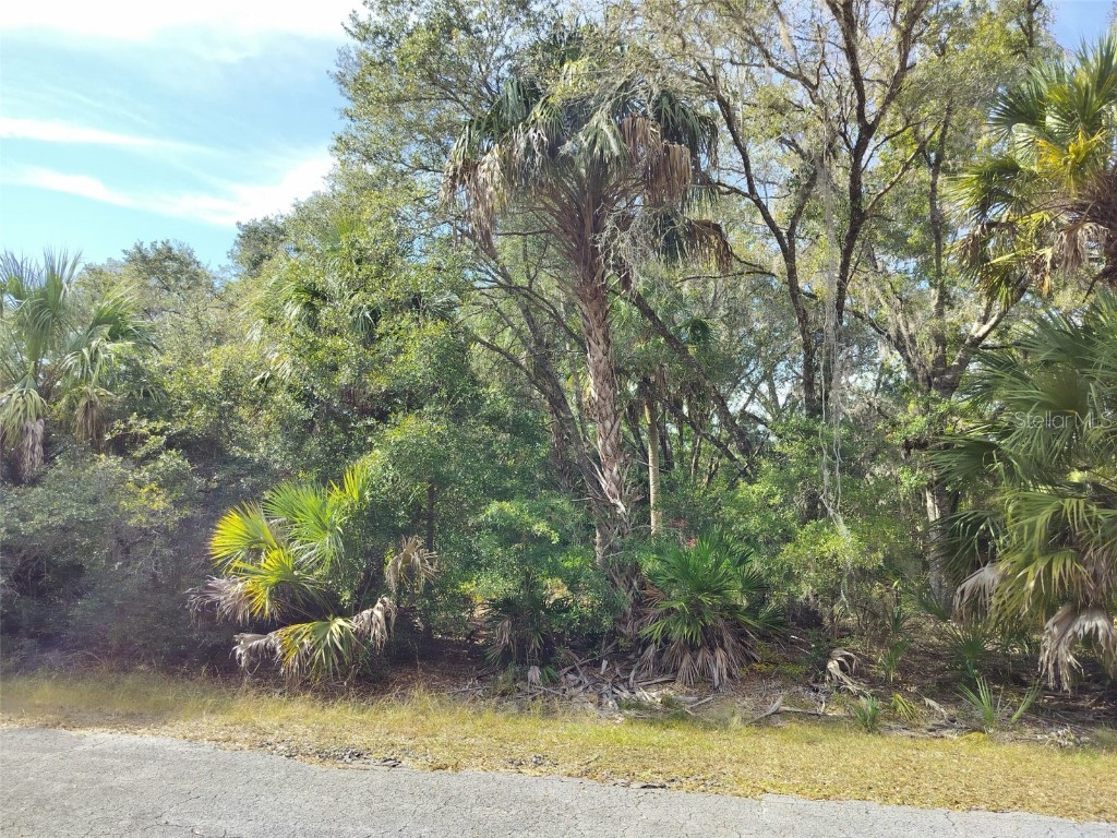 9999 N Snowball Point Crystal River FL 34428 TB8449533 image11