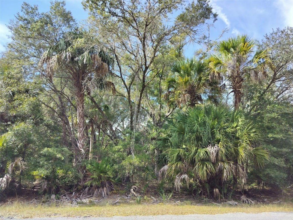 9999 N Snowball Point Crystal River FL 34428 TB8449533 image13