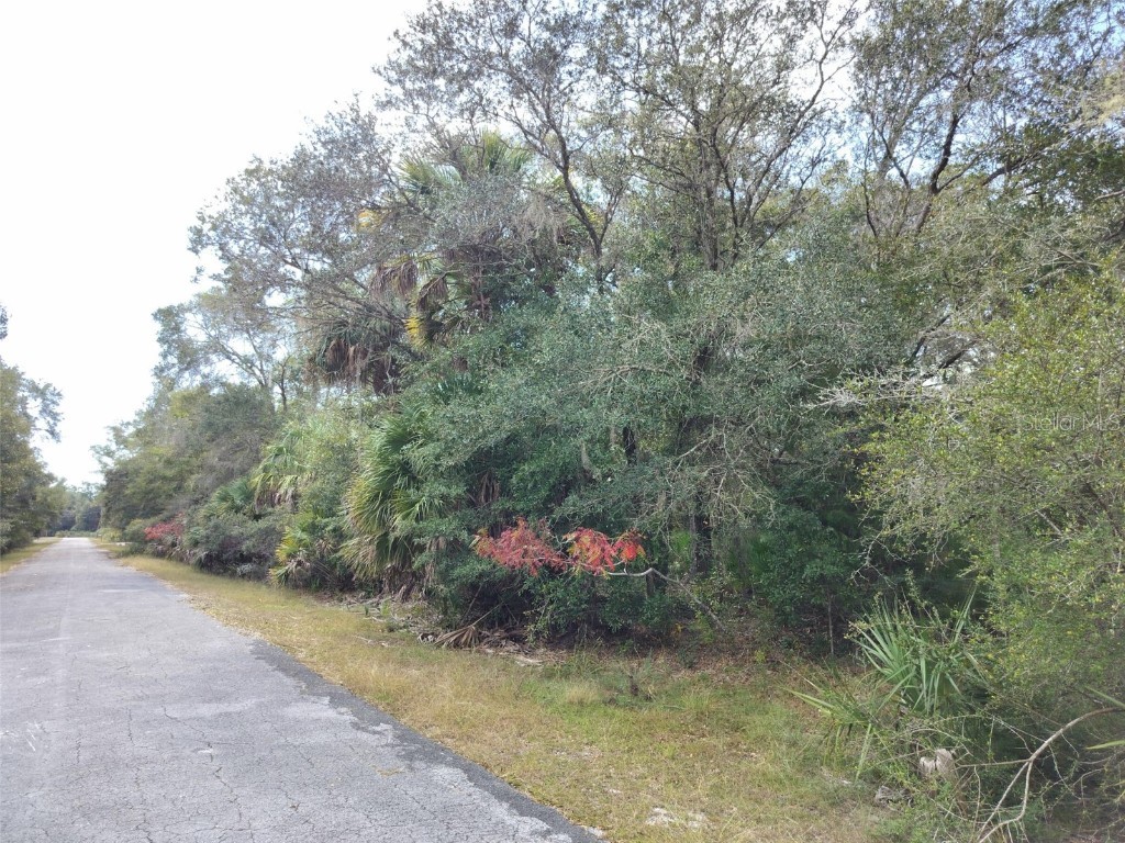 9999 N Snowball Point Crystal River FL 34428 TB8449533 image14