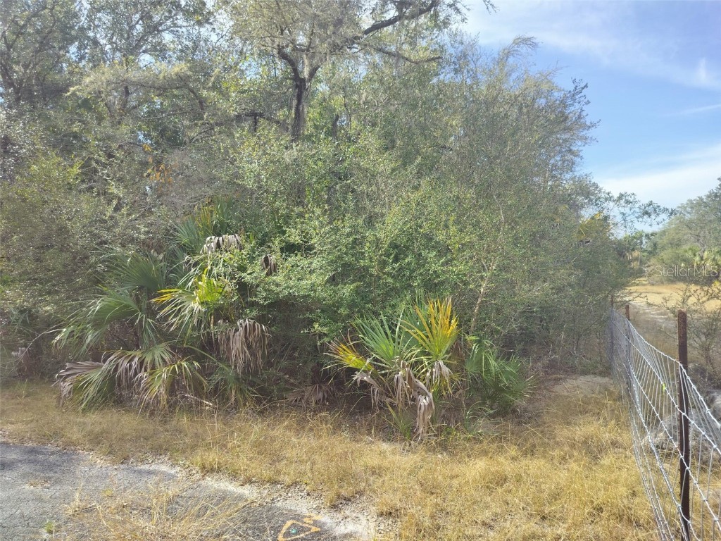 9999 N Snowball Point Crystal River FL 34428 TB8449533 image15