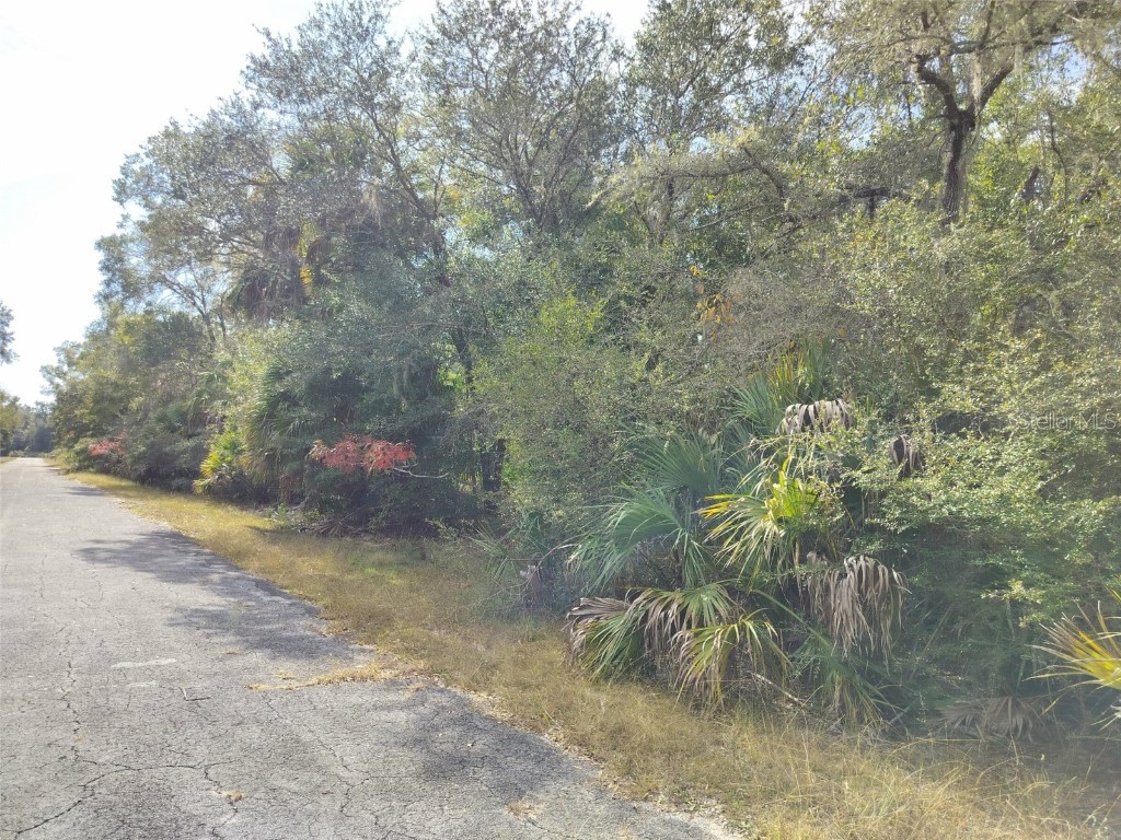 9999 N Snowball Point Crystal River FL 34428 TB8449533 image17