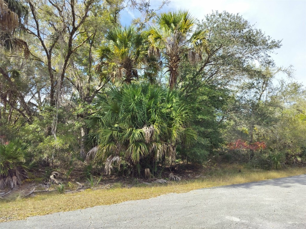 9999 N Snowball Point Crystal River FL 34428 TB8449533 image18