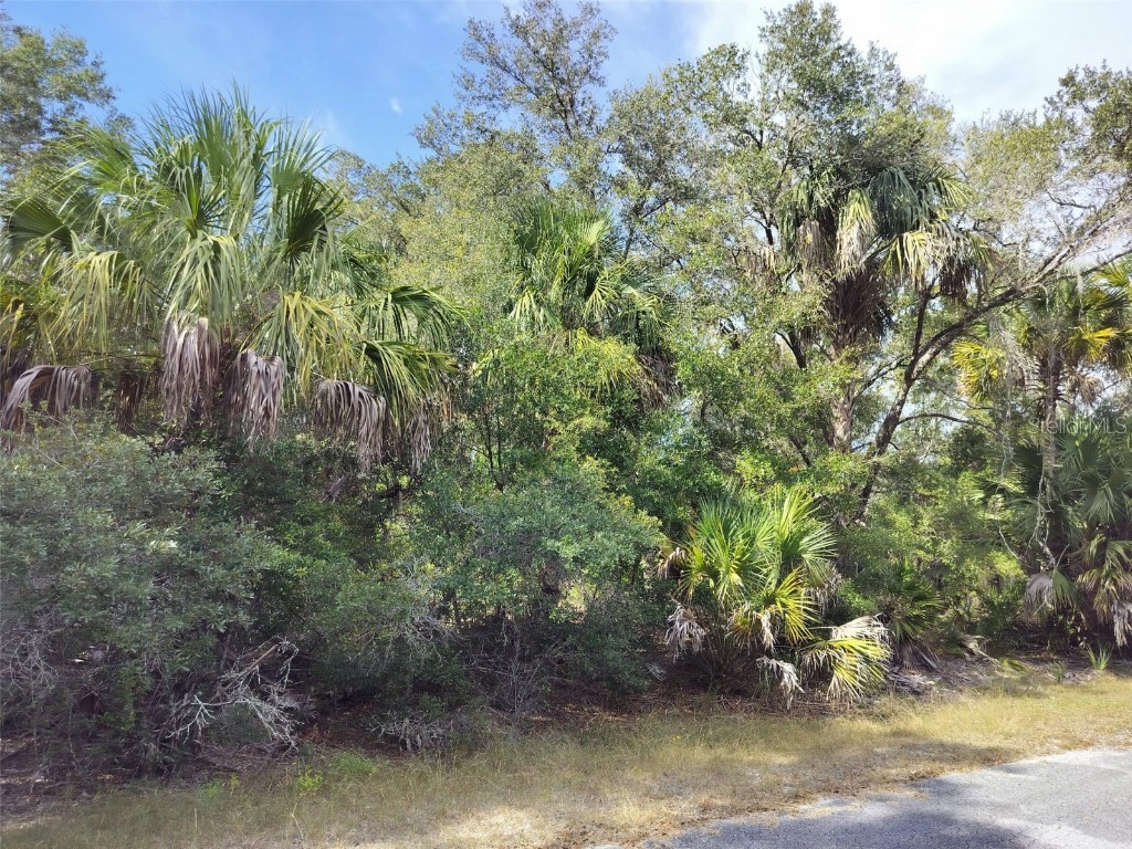 9999 N Snowball Point Crystal River FL 34428 TB8449533 image19