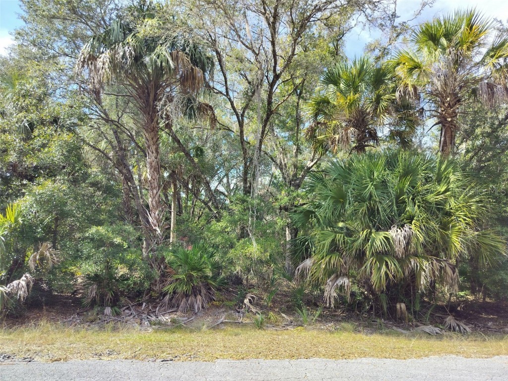 9999 N Snowball Point Crystal River FL 34428 TB8449533 image2