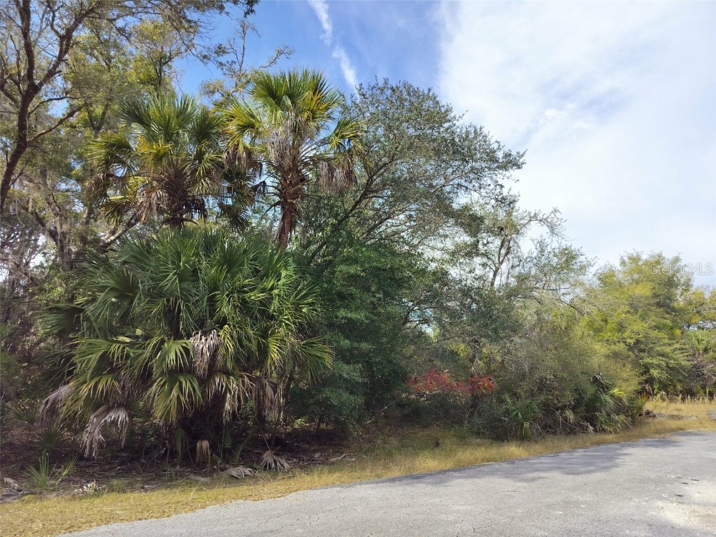 9999 N Snowball Point Crystal River FL 34428 TB8449533 image20