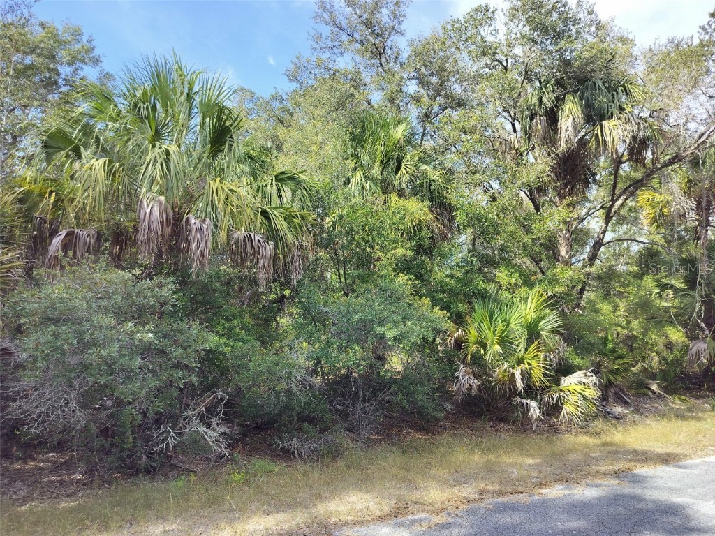 9999 N Snowball Point Crystal River FL 34428 TB8449533 image21