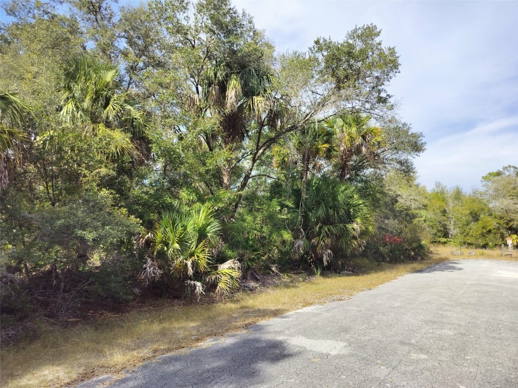 9999 N Snowball Point Crystal River FL 34428 TB8449533 image22