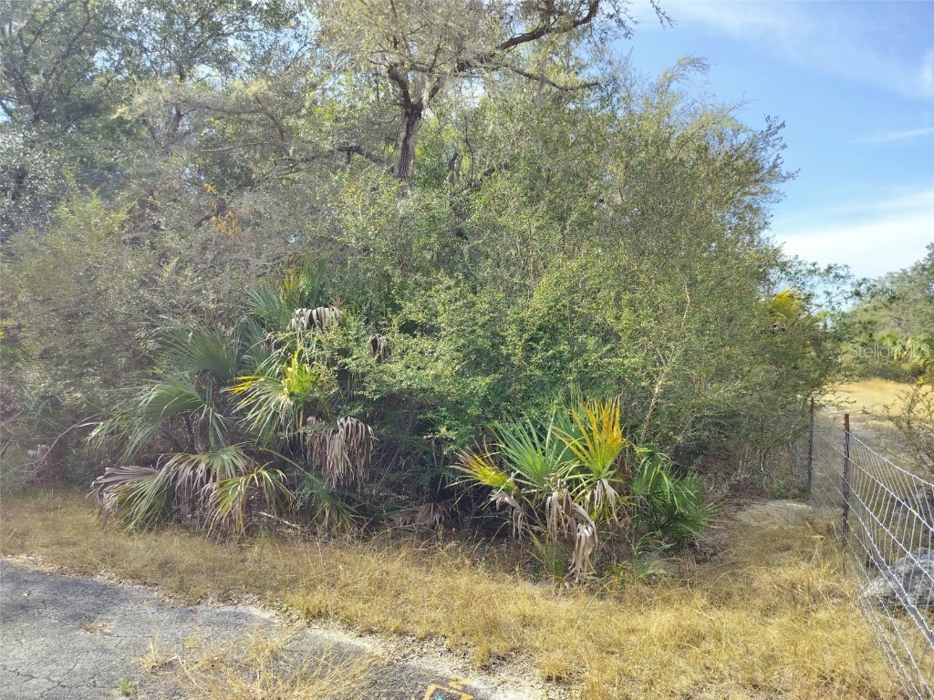 9999 N Snowball Point Crystal River FL 34428 TB8449533 image23