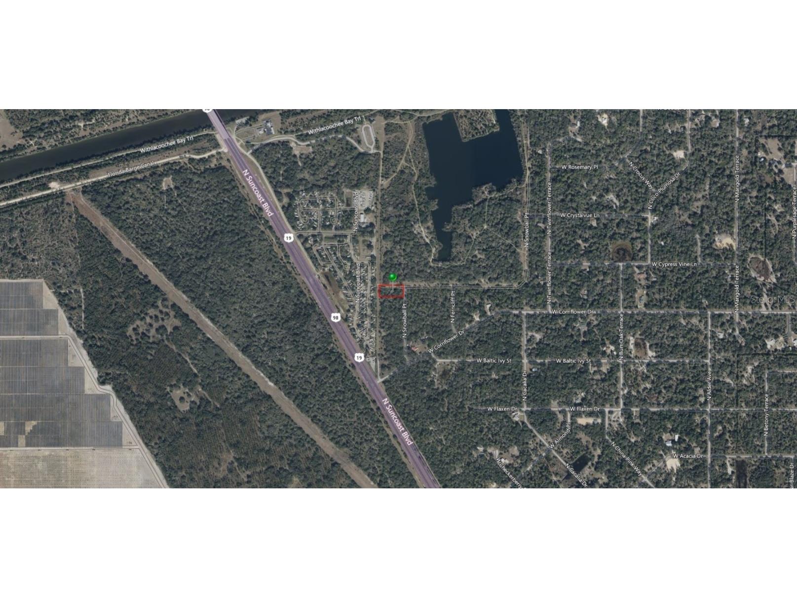 9999 N Snowball Point Crystal River FL 34428 TB8449533 image8