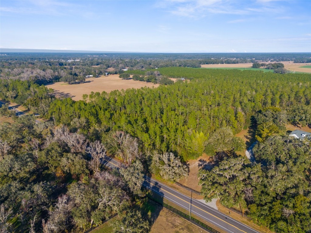 9999 Spring Lake Hwy Brooksville FL 34601 W7872970 image4