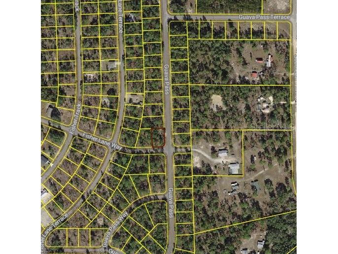BLK 1222 LOT 14 Fisher Lane Way Ocklawaha FL 32179 OM728320 image1