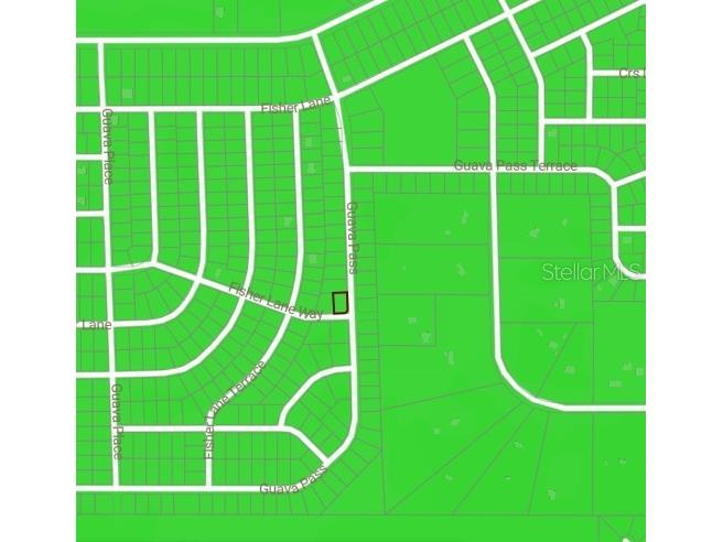 BLK 1222 LOT 14 Fisher Lane Way Ocklawaha FL 32179 OM728320 image2