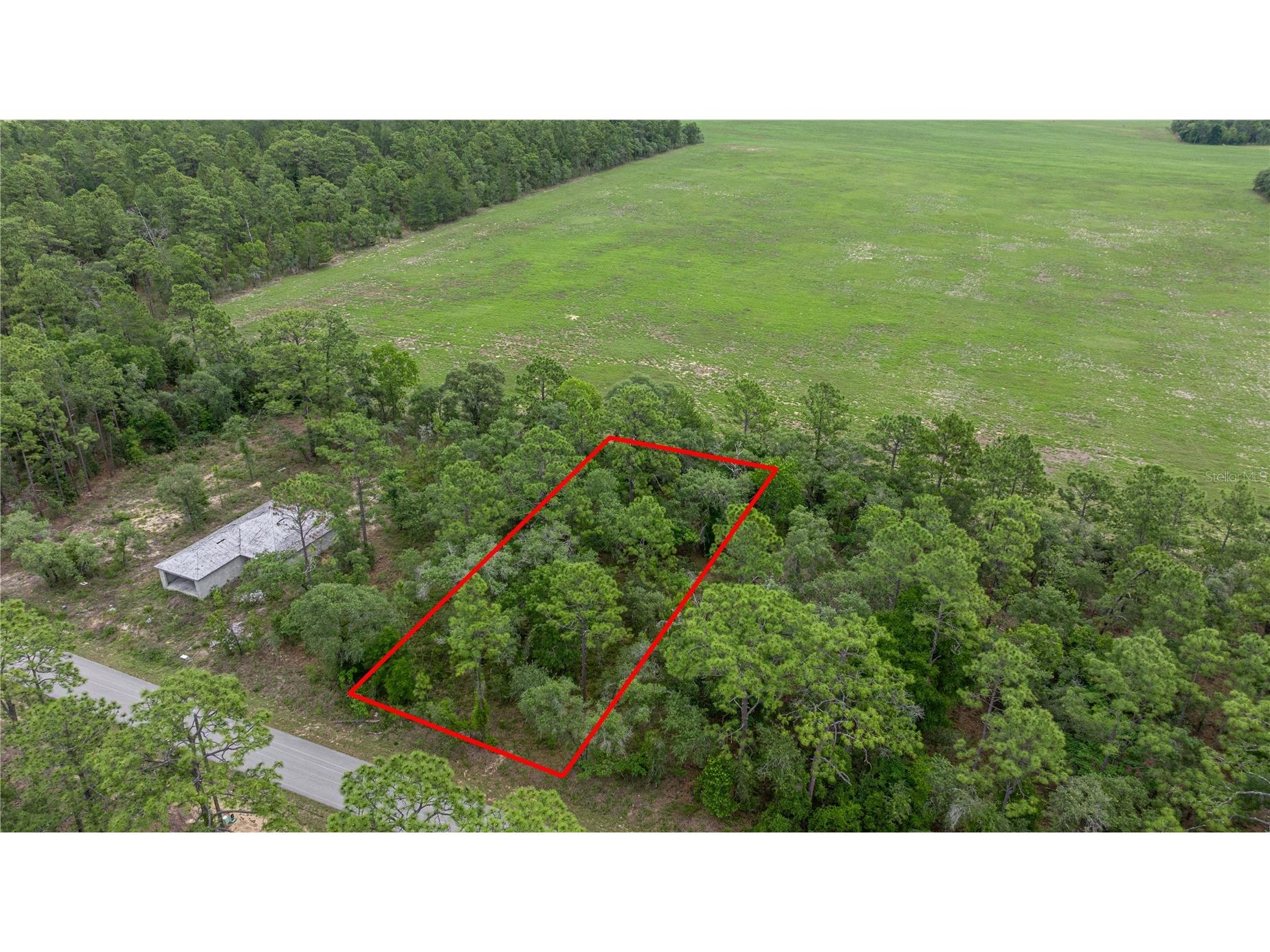 BLK 25 LOT 16 NW Buena Vista Road Dunnellon FL 34431 - TIGER. BONABLE LITTLE BONABLE OM700841 image1