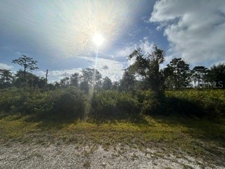 BLK 63 LOTS 11&12 El Dorado Drive Indian Lake Estates FL 33855 TB8511300 image1