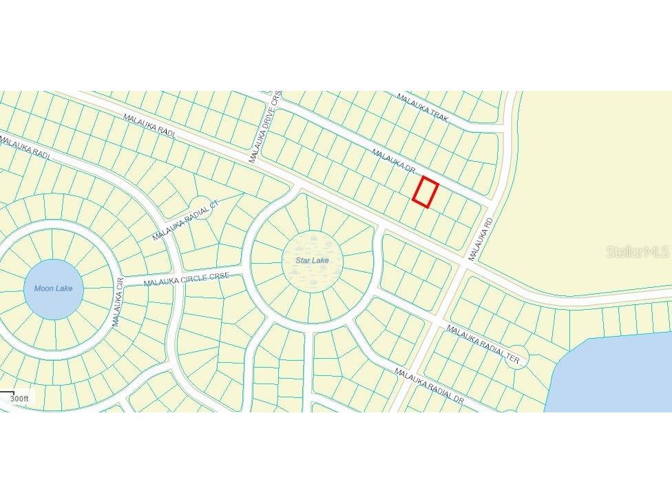 BLK 962/Lot24 Malauka Drive Ocklawaha FL 32179 OM658697 image1