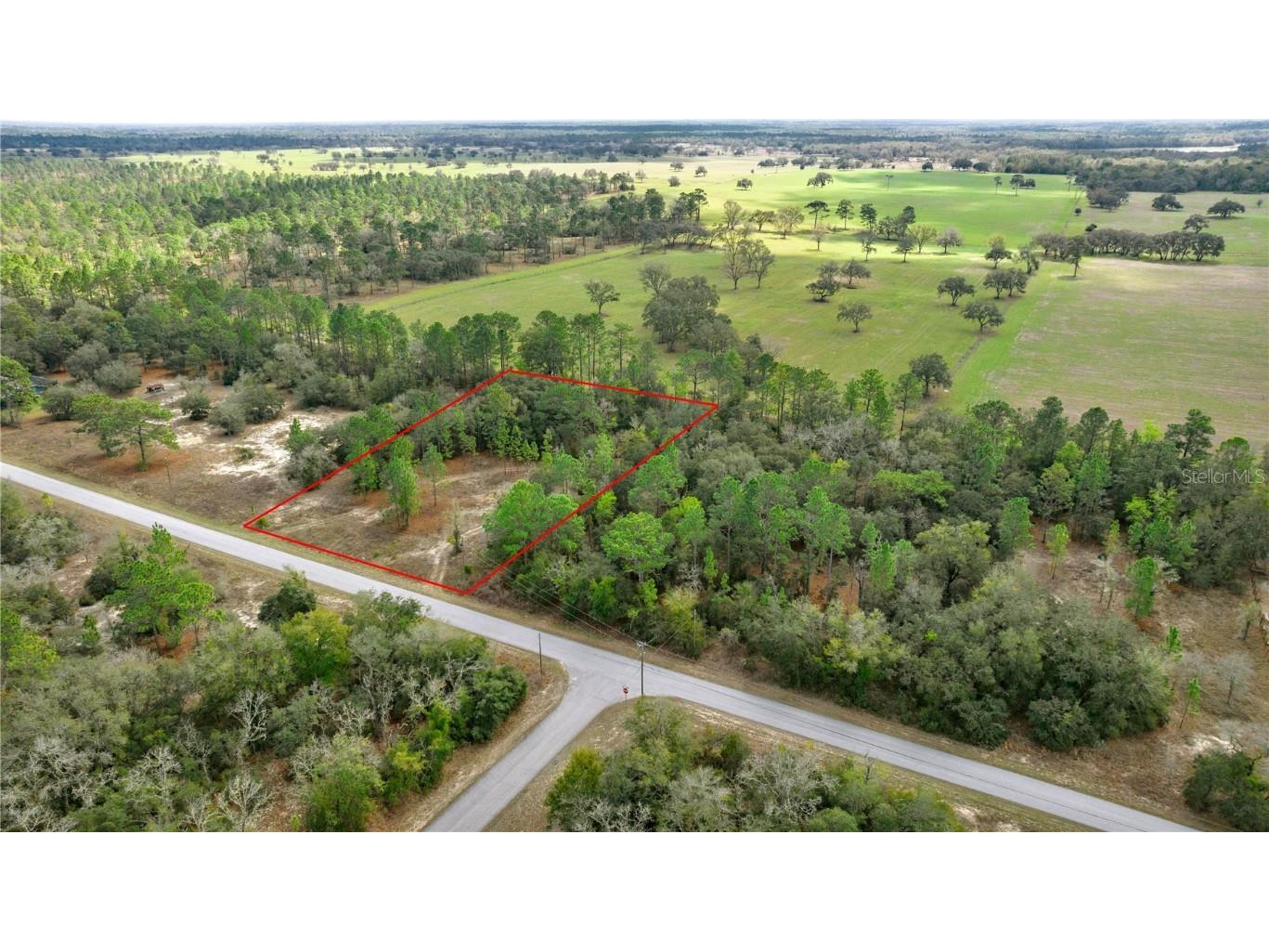 BLK17 Lot 21 SW Tiger Lake Boulevard Dunnellon FL 34431 - TIGER. BONABLE LITTLE BONABLE OM700173 image1