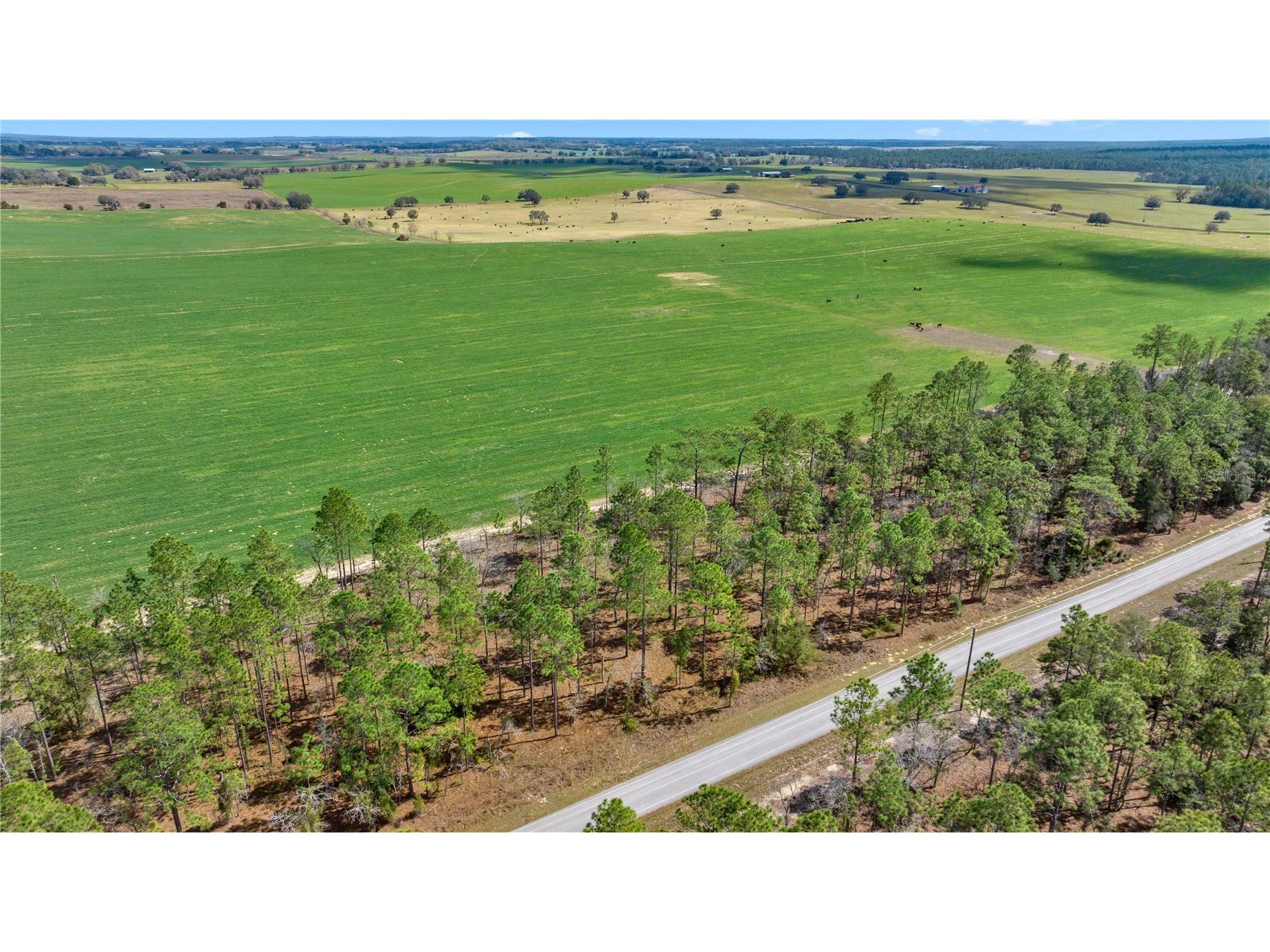 Blk 35 Lot 25 NW Buena Vista Road Dunnellon FL 34431 - TIGER. BONABLE LITTLE BONABLE OM690960 image1